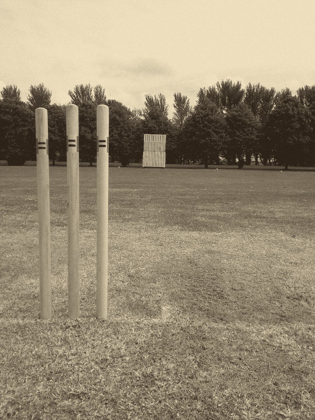 A cricket wicket and stumps (file photo).